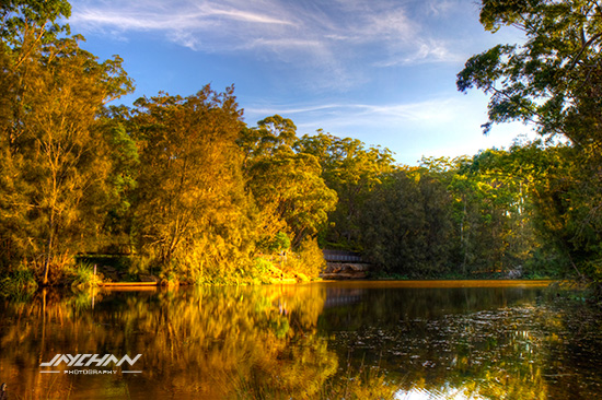 lane cove national park sunset