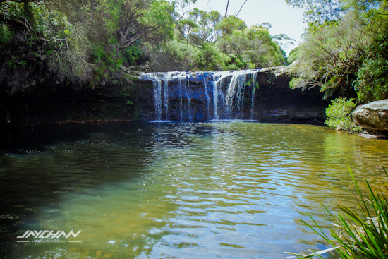 Nellies Glen