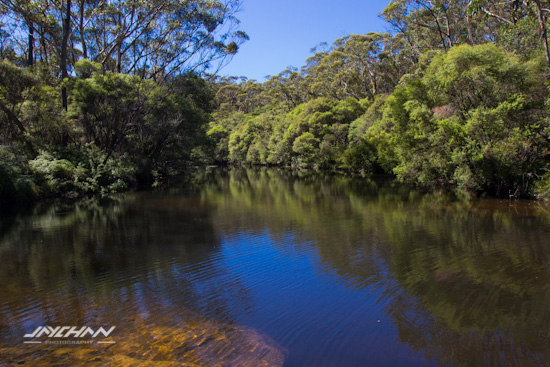 Carrington Falls river