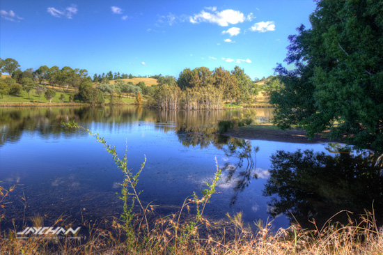 Mount Annan botanic gardens