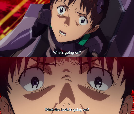 shinji what the hell